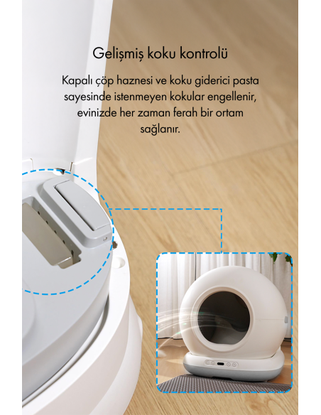 Whirtz | Kedinizin Konforu İçin Sessiz, Hijyenik, Akıllı Tuvalet Çözümü
