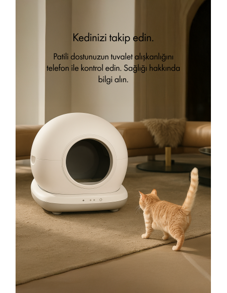 Whirtz | Kedinizin Konforu İçin Sessiz, Hijyenik, Akıllı Tuvalet Çözümü